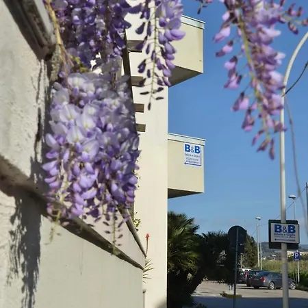 בית הארחה L'edera Di Gavina Apt אלגהרו